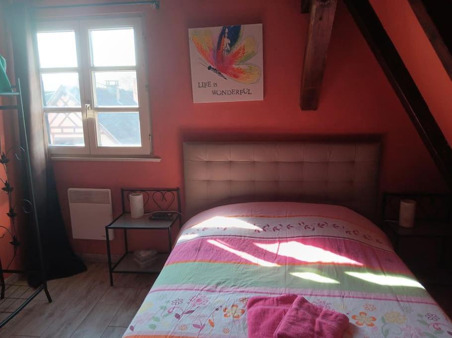 Gite Les Papillons Ribeauville  Exterior photo