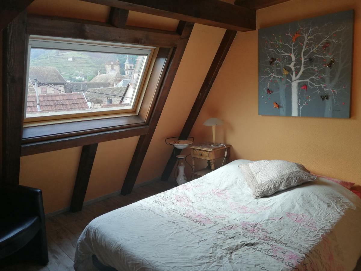 Gite Les Papillons Ribeauville  Exterior photo